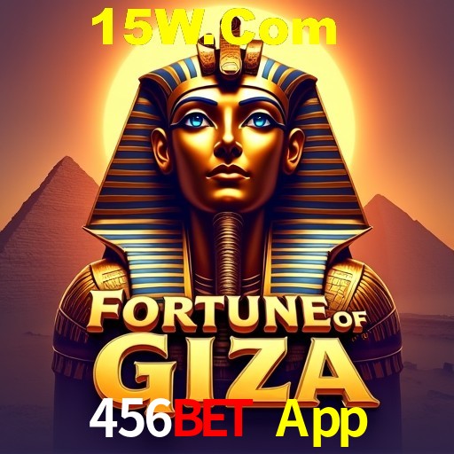 Descubra a Essência do 456Bet App: Nossa História e Compromissos